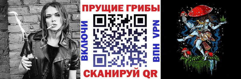 Псилоцибиновые грибы GOLDEN TEACHER  блэк спрут   Поронайск  что такое  